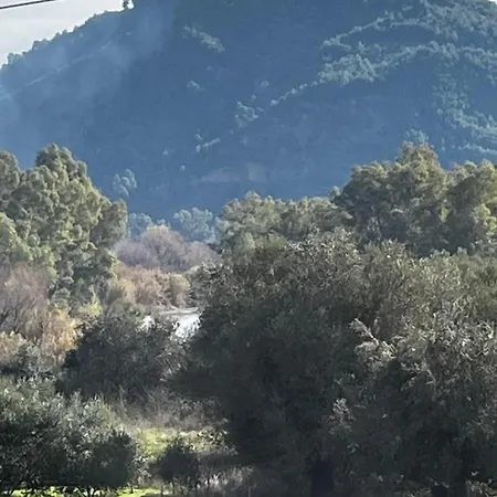 Olympia House Dionisos And Dimitra Ii Σπίτι διακοπών *