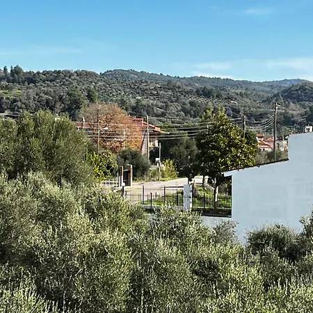 Olympia House Dionisos And Dimitra Ii Σπίτι διακοπών