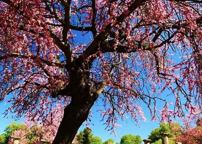 Olympia House Dionisos And Dimitra Ii Сasa de vacaciones Linaria (Ilia)