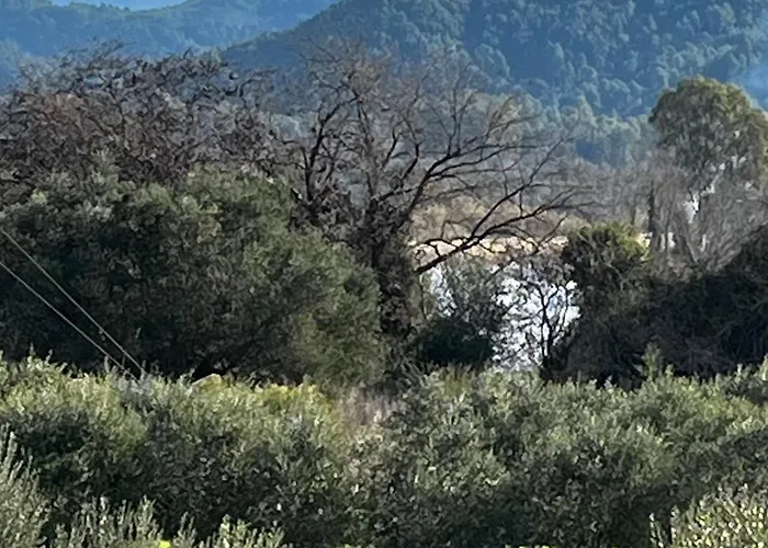 Olympia House Dionisos And Dimitra Ii